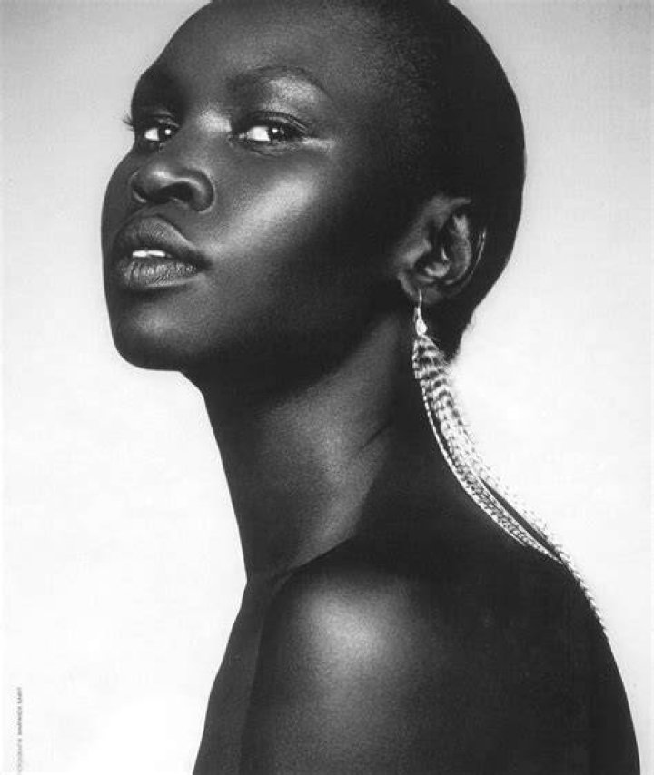 Alek Wek Bio (Wiki) 