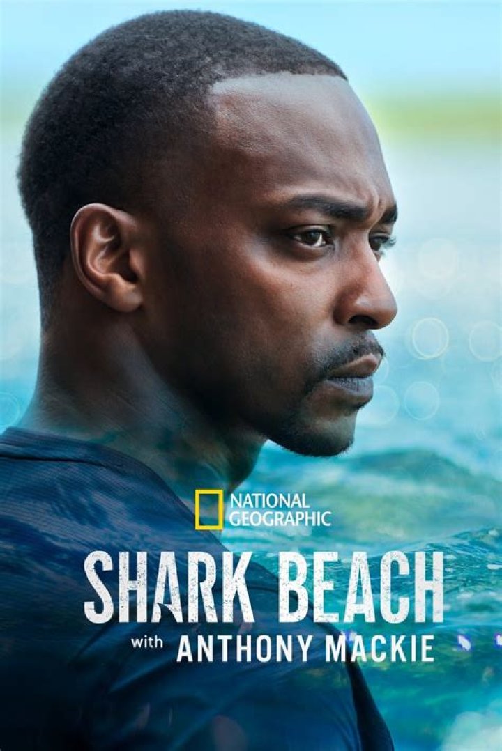 Anthony Mackie Bio (Wiki) 