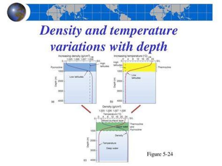 At what temperature is water most dense?