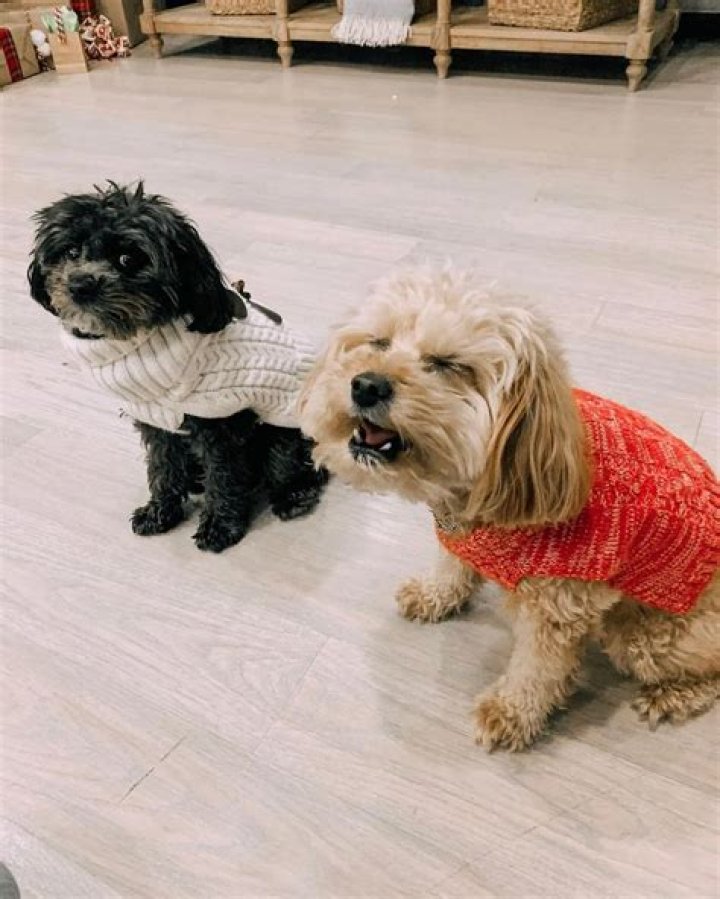 Braidy and Ash Instagram