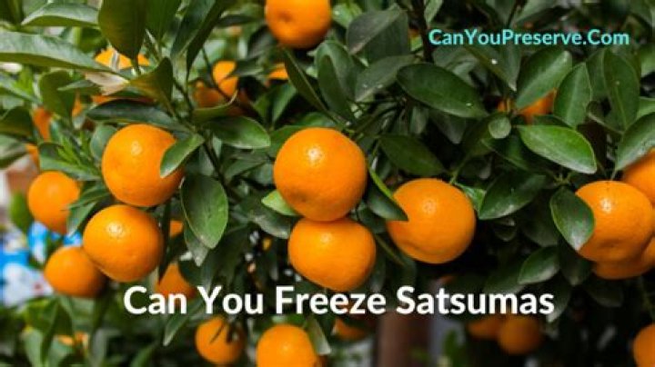 Can I freeze satsumas?