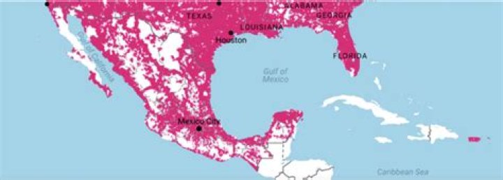 Can I use tmobile in Mexico?