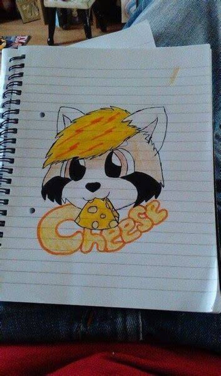 chester_the_fox