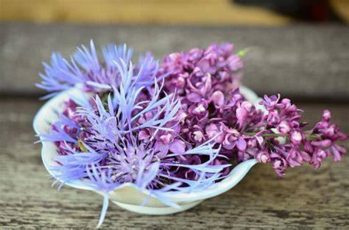 Do lilacs like coffee grounds?