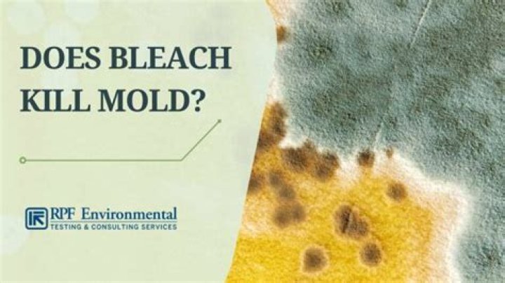 Does bleach kill rid X?