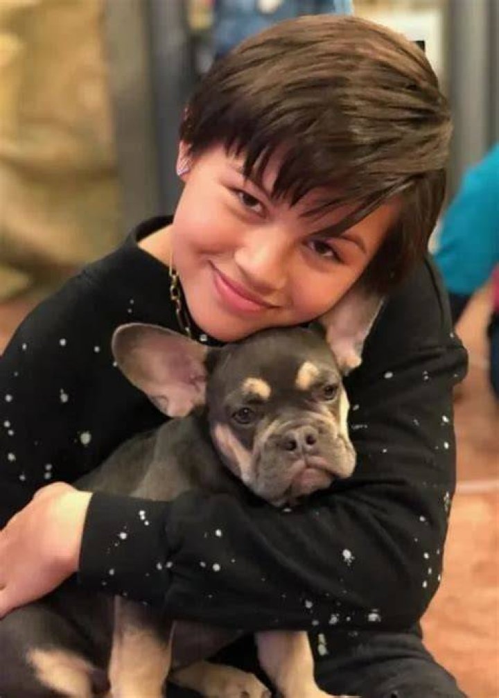 Havan Flores Pets