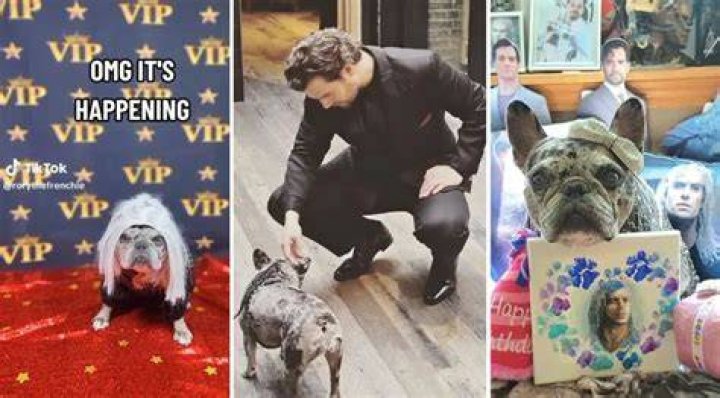 Henry Cavill Pets