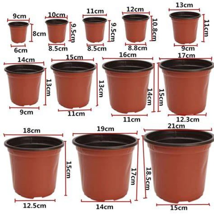 How big is a #10 Pot?
