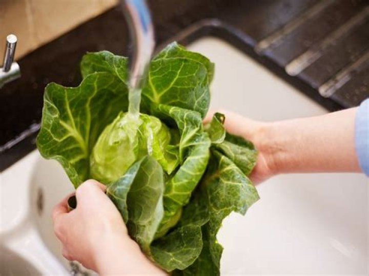 How do you clean cabbage with vinegar?