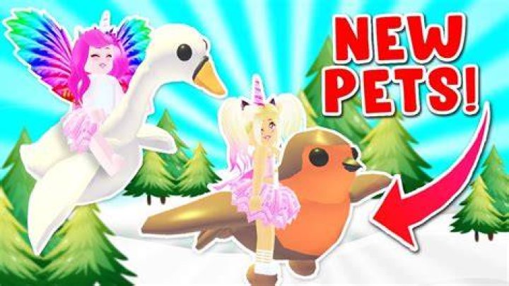 iamSanna Pets