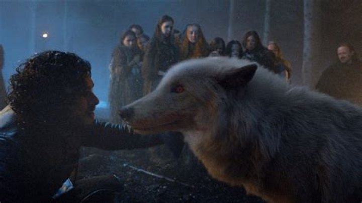 Is Direwolf Whistle albino?