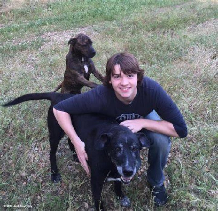 Joel Courtney Pets