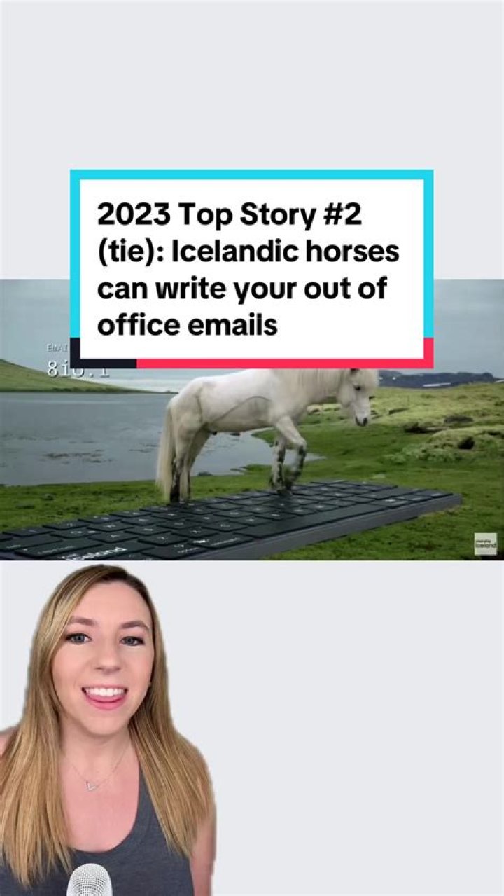 Let Icelandic horses write your emails
