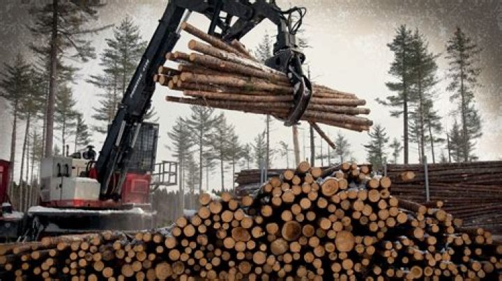Loggers