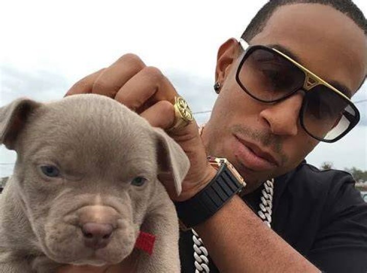 Ludacris Pets