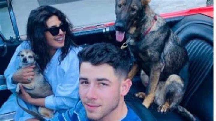 Nick Jonas Pets