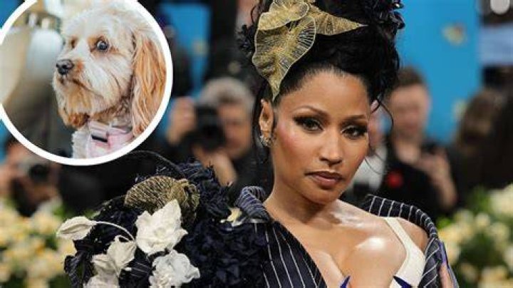 Nicki Minaj Pets
