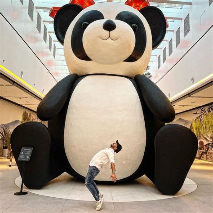 Panda Instagram