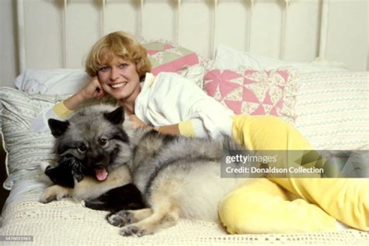 Randi Oakes Pets