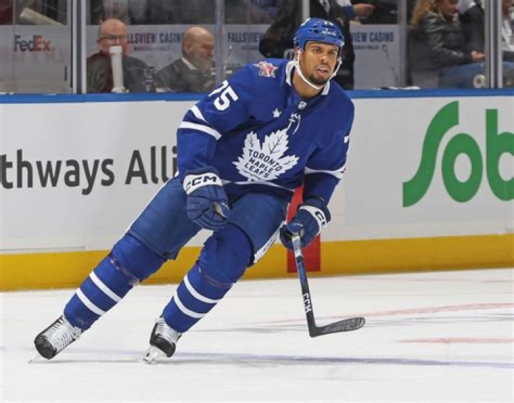 Ryan Reaves Bio (Wiki) 