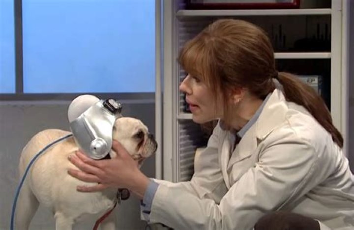 Scarlett Johansson Pets