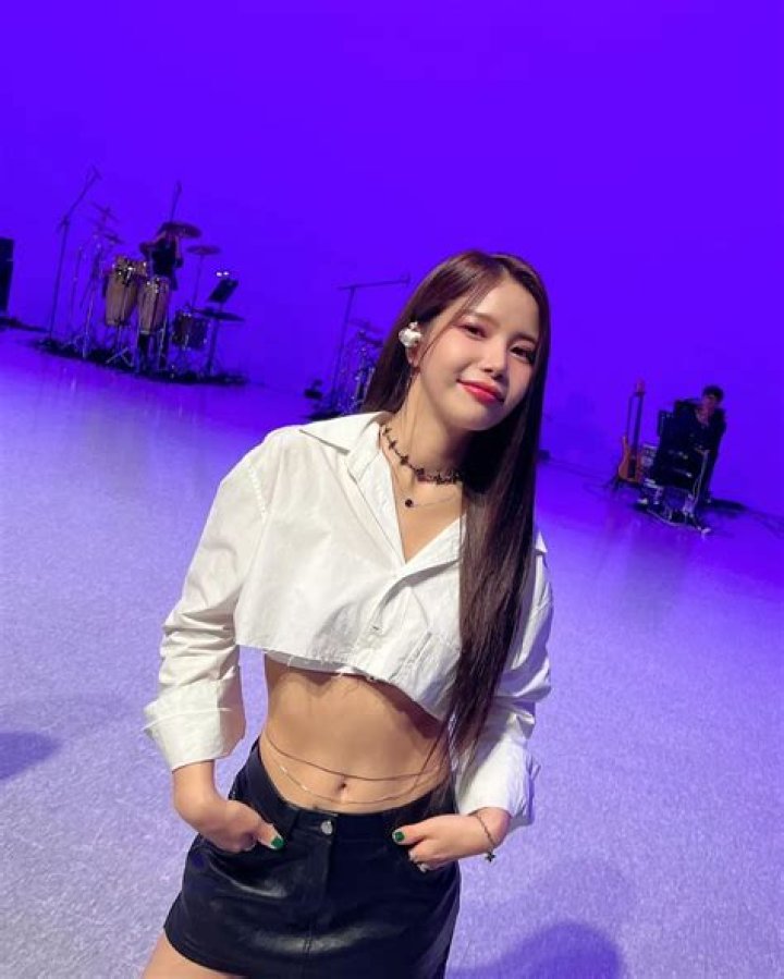 Solar (Kim Yong-sun) Pets