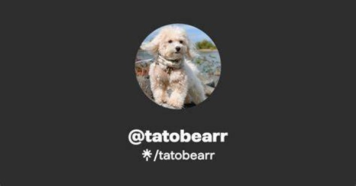 tatobearr