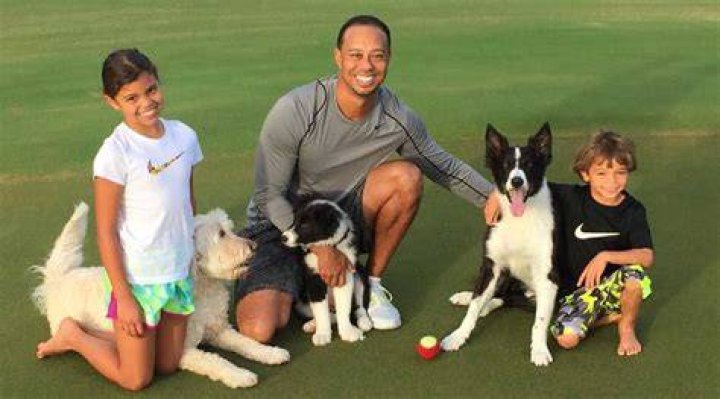 Tiger Woods Pets