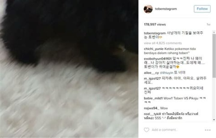 Toben Instagram