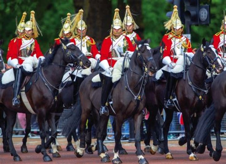 Trooping the Colour 2019 Photo: Albert Nieboer / Netherlands OUT / Point De Vue OUT