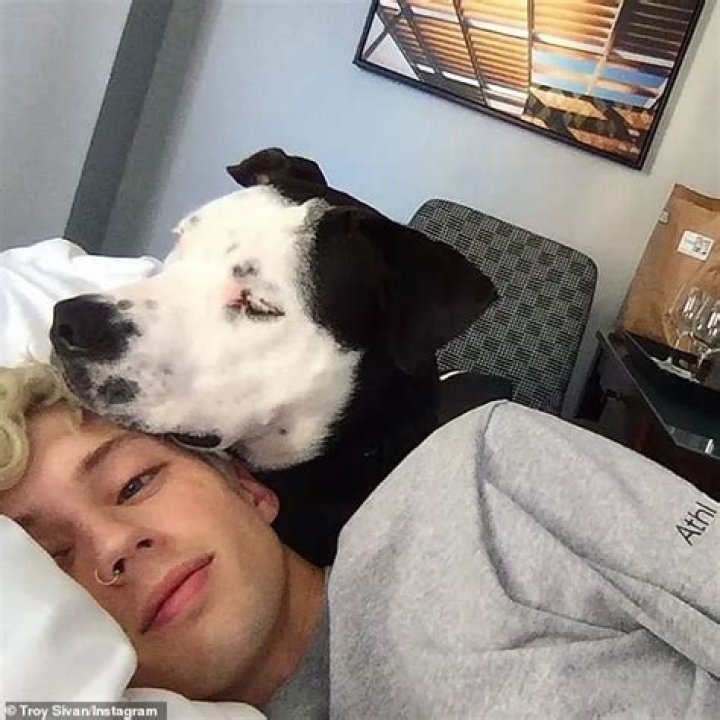 Troye Sivan Pets