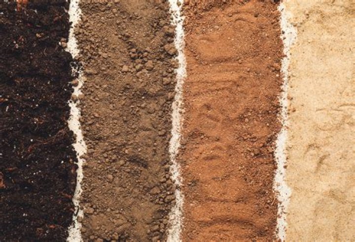 What color is loam soil?