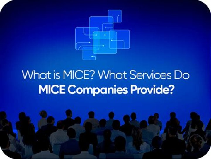 What does the abbreviation MICE stand for?