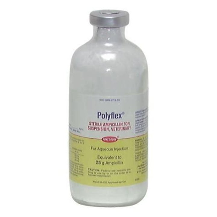 What is Polyflex injection?