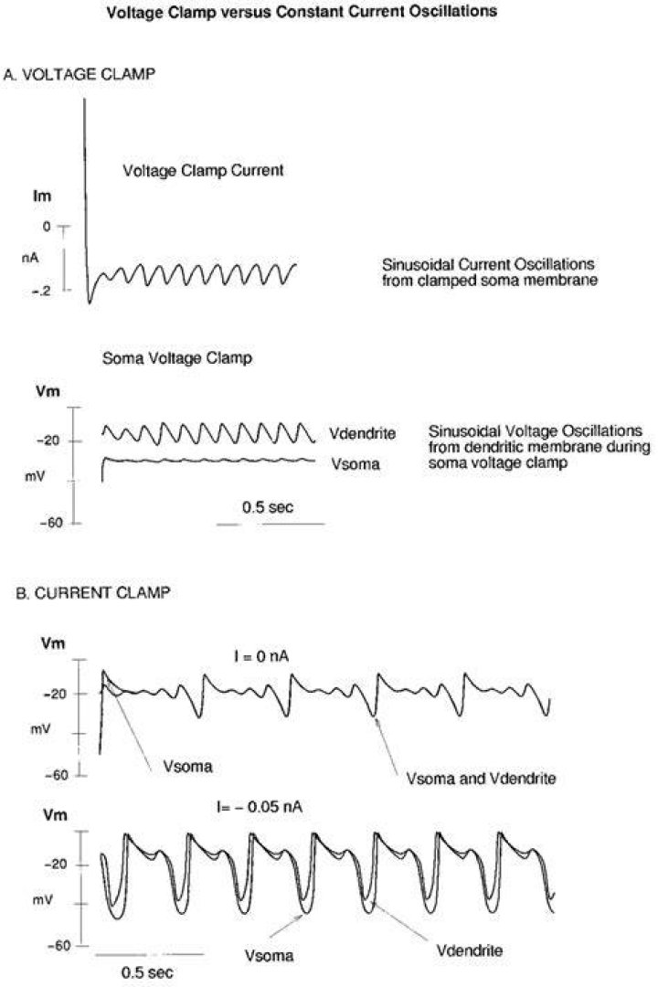 What is the difference between voltage clamp and current clamp?