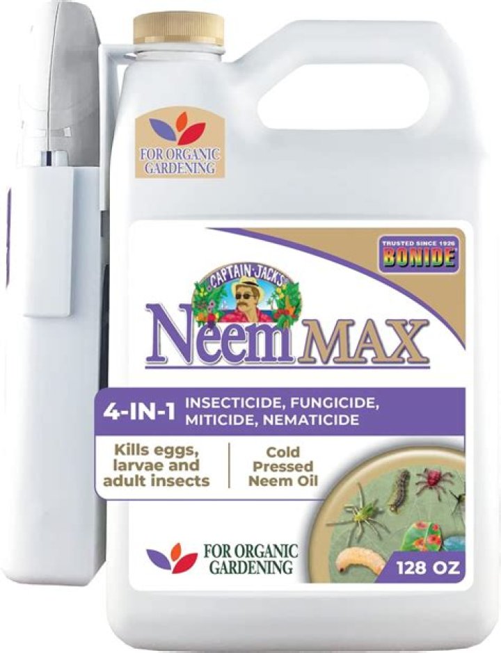 Will neem oil kill wasps?