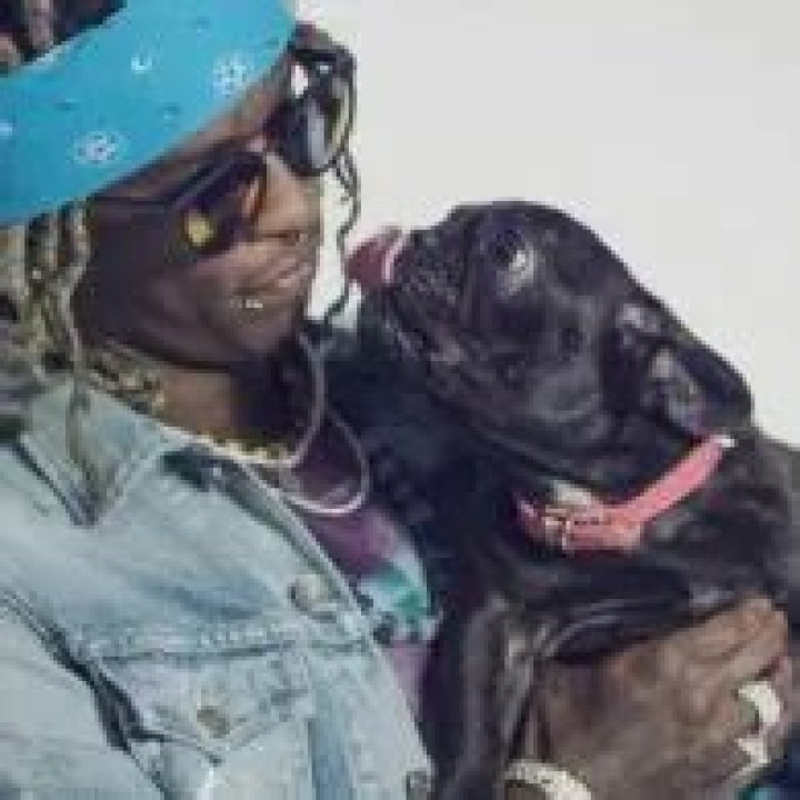 Young Thug Pets
