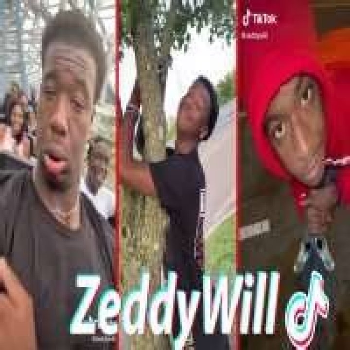 Zeddywill - Age, Family, Bio