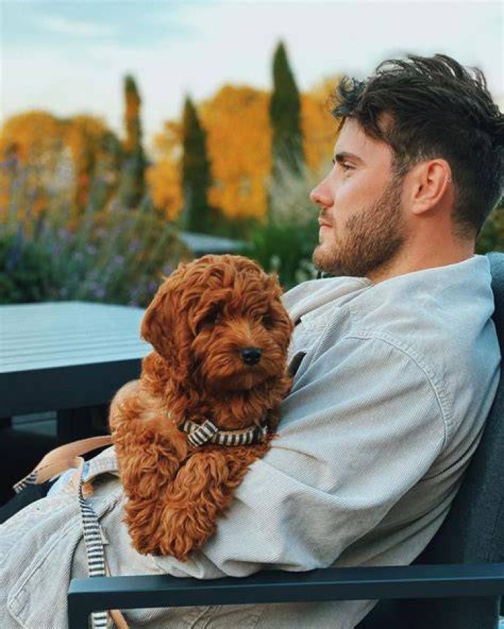 Zoe Sugg (Zoella) Pets
